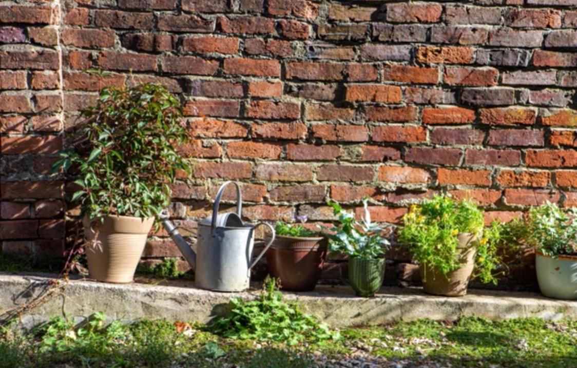Bridport Garden Suite Экстерьер фото